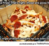 Those Are Pizza Fries
