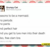 Some Reasons To Be A Mermaid