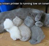 Cat Printer