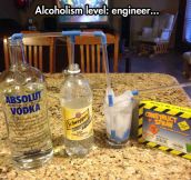 Some Engineers Know How To Party