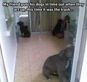 Dogs In Time Out