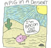 Desert Pig