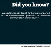 Famous Danish Slang