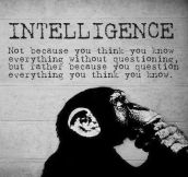 The Truth About Intelligence