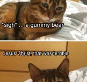 Sad Kitty Tells A Joke
