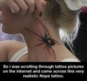 Most Convincing Spider Tattoo Ever