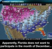 Florida Hasn’t Realized It’s December