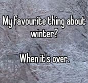 Most Favorite Thing About Winter