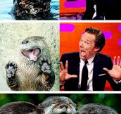 Benedict Cumberbatch Reenacts Otter Memes