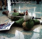 Perfect Link Cosplay