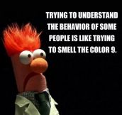 The Behavior Of Some People