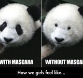 The Truth About Mascara