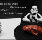 Family Dinner In The Galaxy
