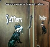 Country Restroom