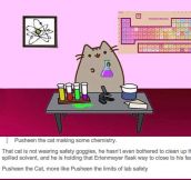 Kitty Doing Chemistry