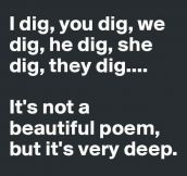 This Poem