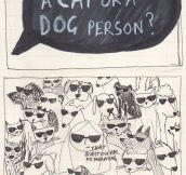Cat Or Dog Person