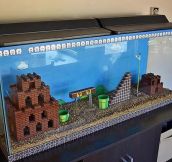 Quite Possibly The Best Fish Tank Ever