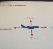 List The Four Forces Of Flight