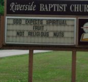 Spiritual Fruit