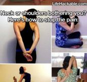 The Many Types Of Stretches