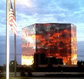 Sunset Reflected On Building