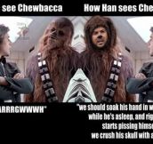 Perspectives On Chewbacca