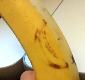 Banana On A Banana