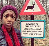 But No Warnings About Leopards?