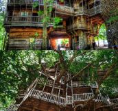 The World’s Largest Treehouse
