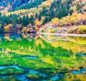 Jiuzhai Valley National Park May Be The Most Amazing Park You Ever Set Eyes On.