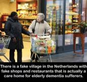 Taking Care Of The Elderly