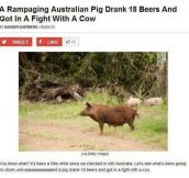 Things That Only Happen In Australia