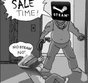 Steam Sales Every Time