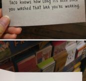 Shut Up, Taco