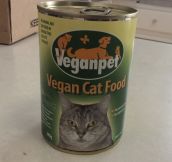 Cats’ Reaction To Vegan Food