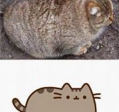 Pusheen Is Actually Real