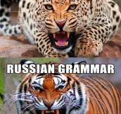 Types Of Grammar