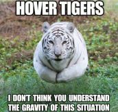 Hover Tigers