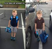 First Day Vs. Second Day