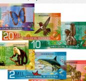 World’s Most Beautiful Currency