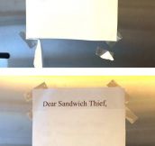 Sandwich Thief