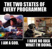 Working As A Programmer