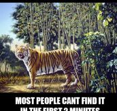 Find The Hidden Tiger