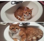 It’s His Sink Now