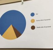 This Pie Chart Is Incredibly Accurate