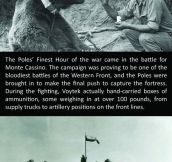 The Incredible Story Of Voytek The Soldier Bear
