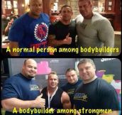 Strongmen, They Are The Real Deal