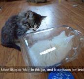 Hidden In The Jar