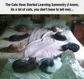 Learning Symmetry